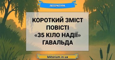 Короткий зміст повісті «35 кіло надії» Гавальда