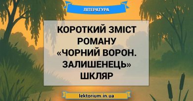 Короткий зміст роману «Чорний ворон. Залишенець» Шкляр