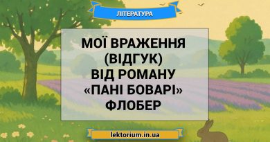 Мої враження (відгук) від роману «Пані Боварі» Флобер