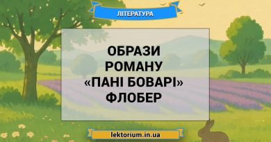 Образи роману «Пані Боварі» Флобер