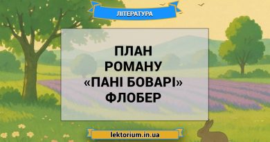 План роману «Пані Боварі» Флобер