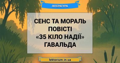 Сенс та мораль повісті «35 кіло надії» Гавальда