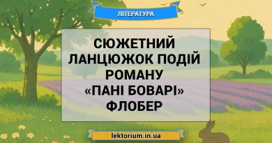 Сюжетний ланцюжок подій роману «Пані Боварі» Флобер