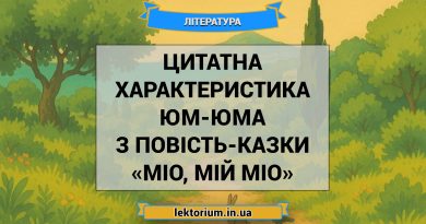 Цитатна характеристика Юм-Юма з повість-казки «Міо, мій Міо»