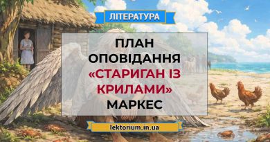 План оповідання «Стариган із крилами» Маркес