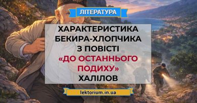 Характеристика Бекира-хлопчика з повісті «До останнього подиху» Халілов
