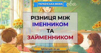 Різниця між іменником та займенником