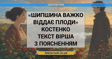 «Шипшина важко віддає плоди» Костенко текст вірша з поясненням